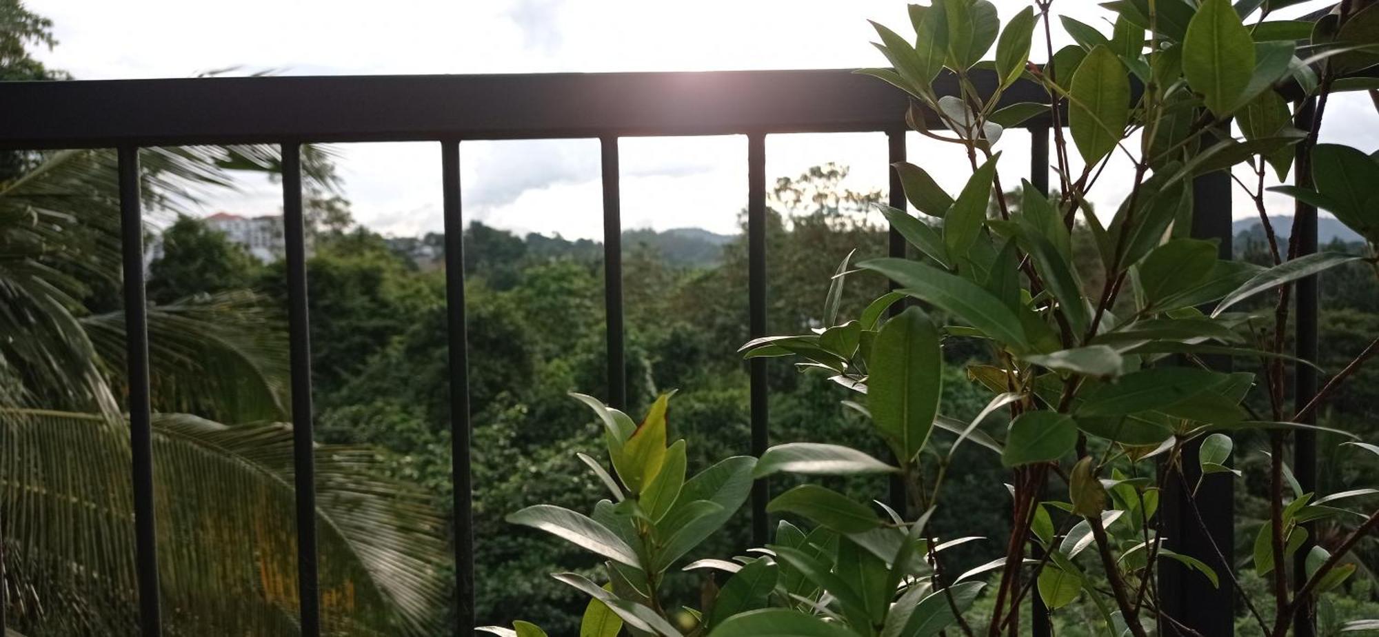 Villa Forest View - No: 50/17 Kandy Dış mekan fotoğraf