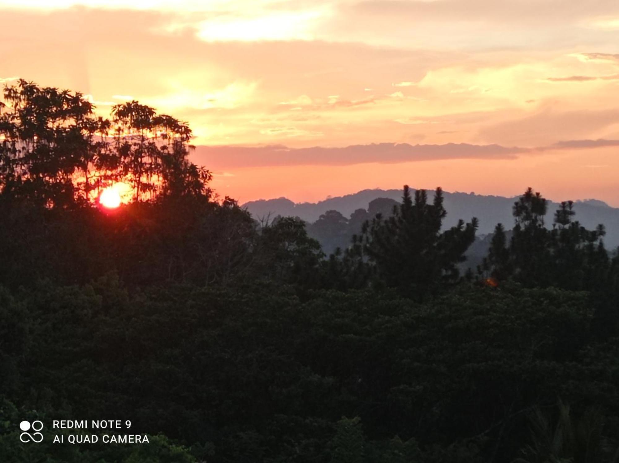 Villa Forest View - No: 50/17 Kandy Dış mekan fotoğraf