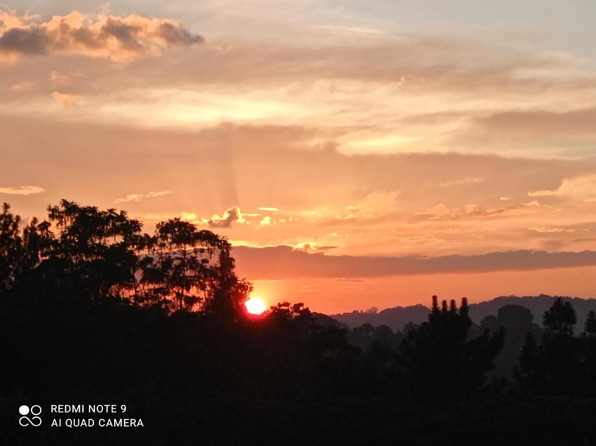 Villa Forest View - No: 50/17 Kandy Dış mekan fotoğraf