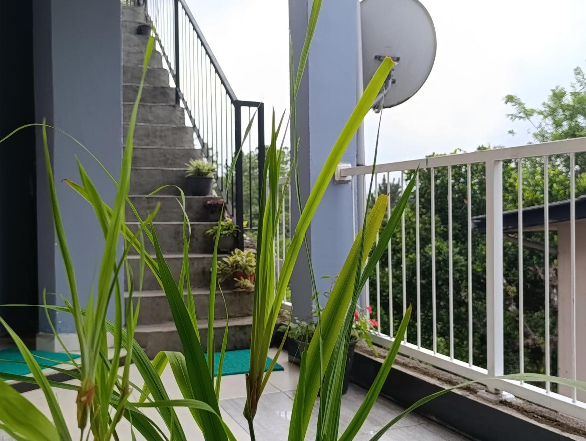 Villa Forest View - No: 50/17 Kandy Dış mekan fotoğraf